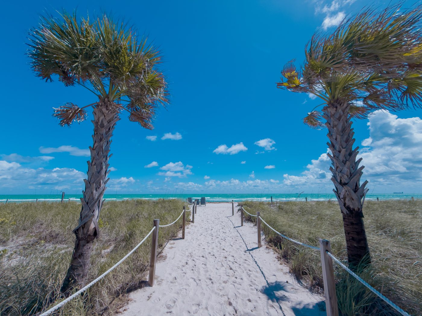 Beach Path